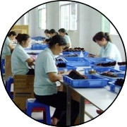 Chinese Makeup Brush Factory