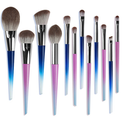 K12024 12pcs ombre makeup brush set